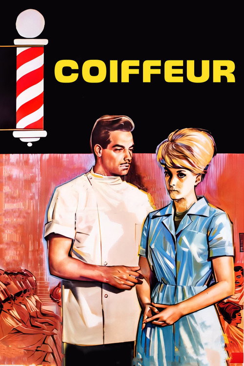 Movie poster for Kadın Berberi (1964)