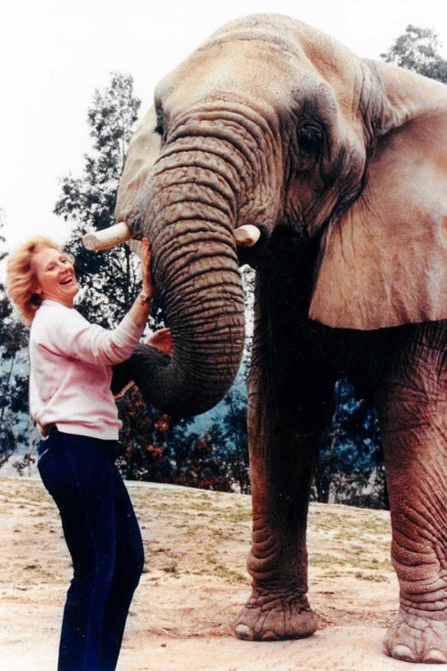 Movie poster for I Talk to Animals (1990)