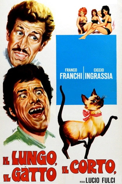 Movie poster for The Tall, The Short, The Cat (1967)