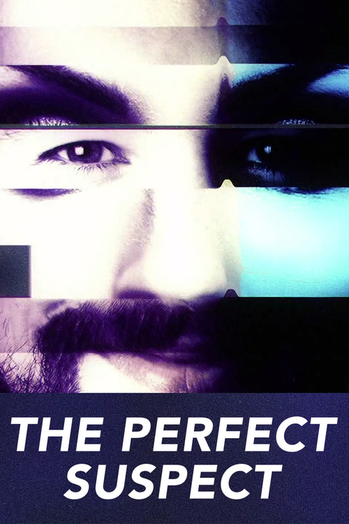 Series poster for The Perfect Suspect (2017)