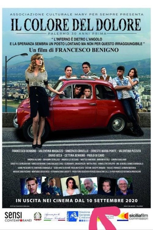 Movie poster for Il Colore del Dolore (2020)
