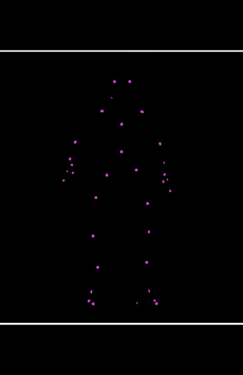 Movie poster for Network Reconstruction Of Nematode Symbionts (2017)