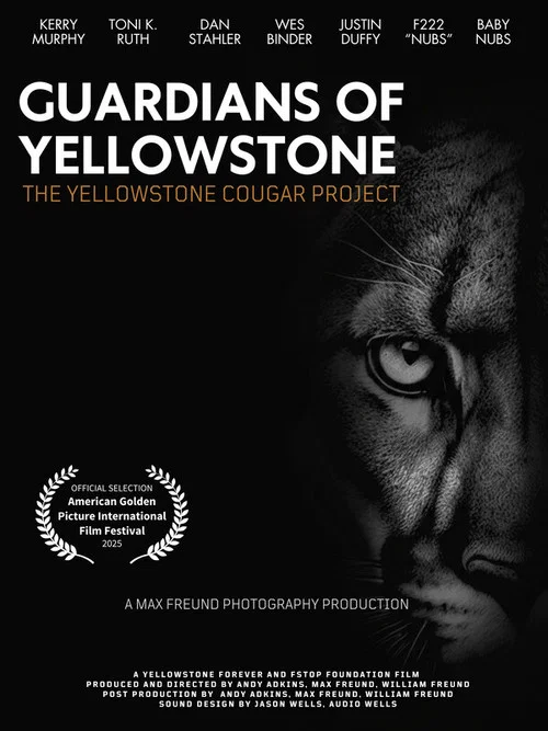 Movie poster for Guardians of Yellowstone: The Yellowstone Cougar Project (2026)