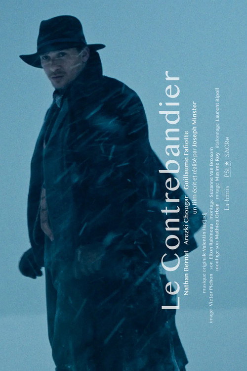 Movie poster for The Smuggler (2024)