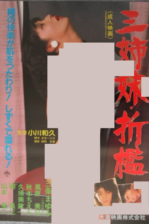 Movie poster for Three Sisters Punishment (1985)