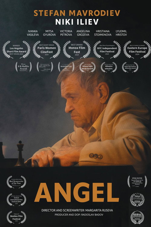 Movie poster for Ангел