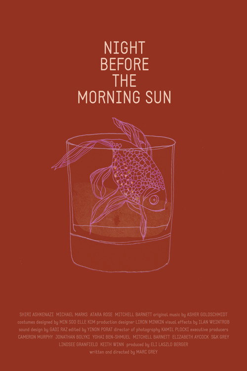 Movie poster for Night Before the Morning Sun (2015)