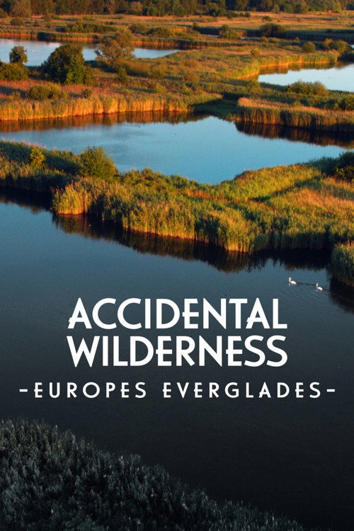 Movie poster for The Accidental Wilderness: Europe's Everglades (2021)