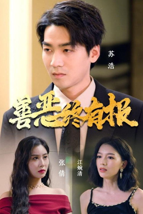 Series poster for 善恶终有报 (2024)