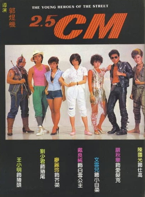 Movie poster for The Young Heroes of the Street (1982)