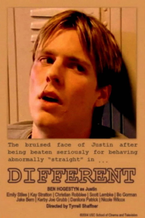 Movie poster for Different (2004)