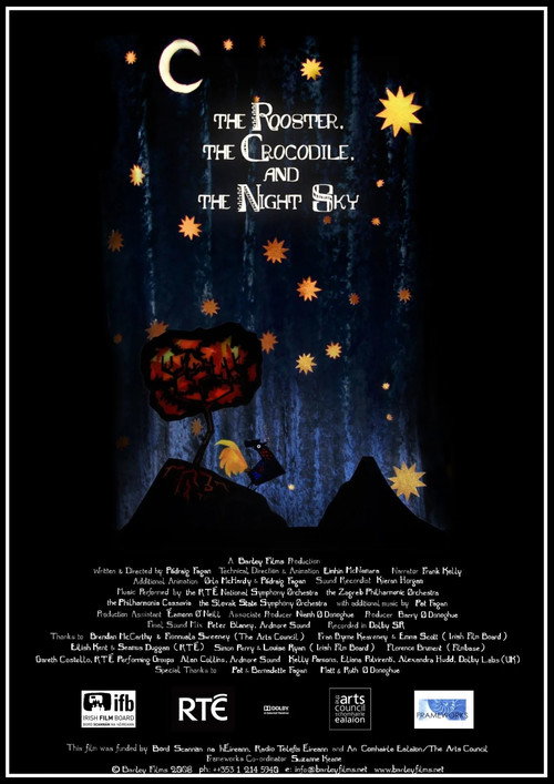 Movie poster for The Rooster, the Crocodile and the Night Sky (2011)