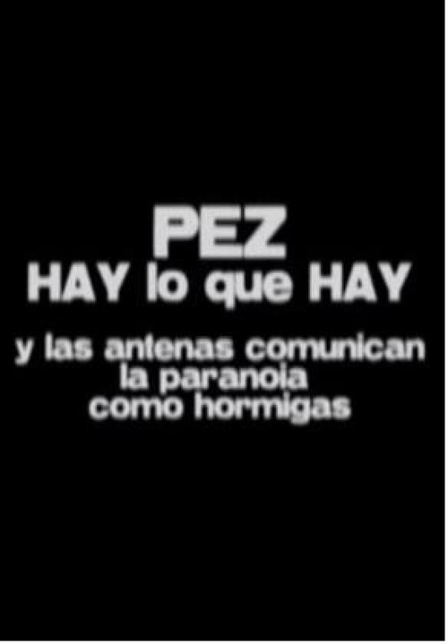 Movie poster for Hay lo que hay - Y las antenas comunican la paranoia como hormigas (2003)