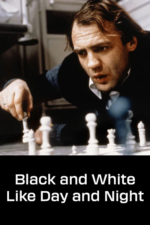 Movie poster for Black and White Like Day and Night (1978)