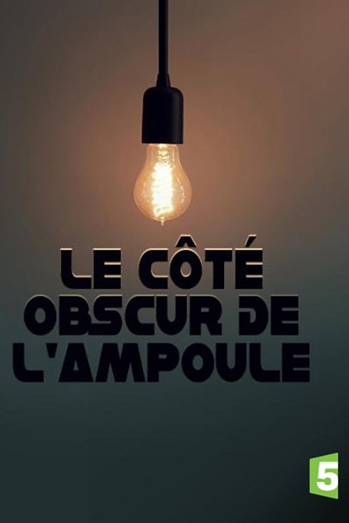 Movie poster for Le côté obscur de l'ampoule (2017)
