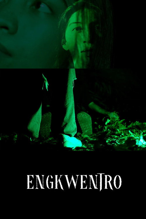 Movie poster for Encounter (2023)