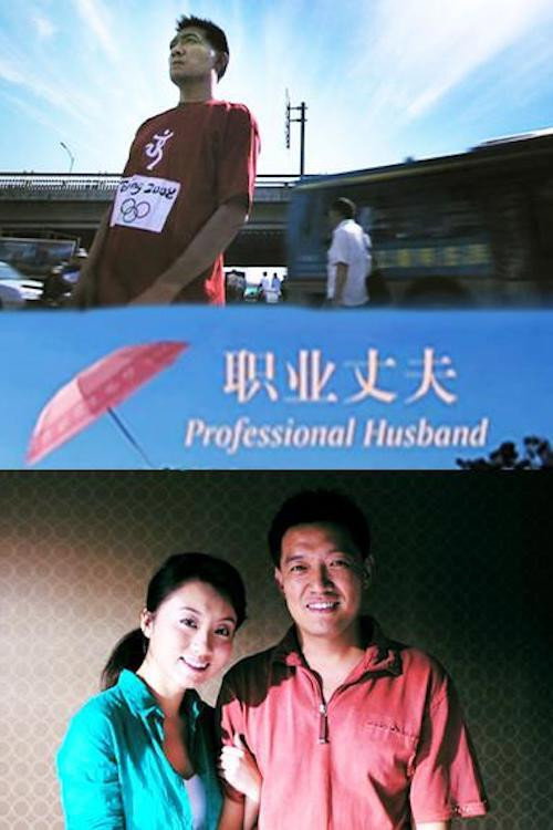 Movie poster for Professional Husband (2005)