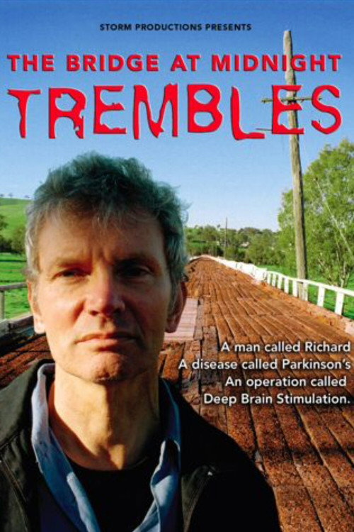 Movie poster for The Bridge at Midnight Trembles (2006)