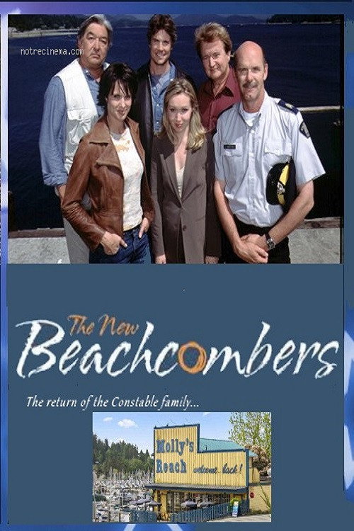 Movie poster for The New Beachcombers (2002)