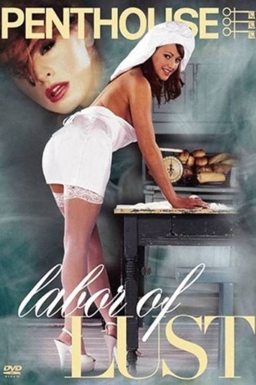 Movie poster for Penthouse: Labor of lust (2004)