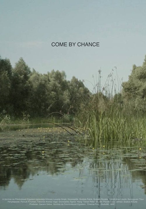 Movie poster for Come by Chance (2017)