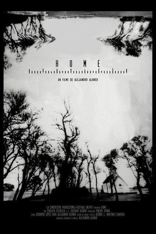 Movie poster for Home (2019)
