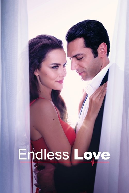 Movie poster for Endless Love (2017)