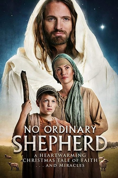 Movie poster for No Ordinary Shepherd (2014)