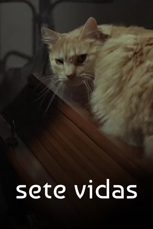 Movie poster for Sete Vidas (2007)