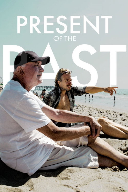 Movie poster for Present of the Past (2017)