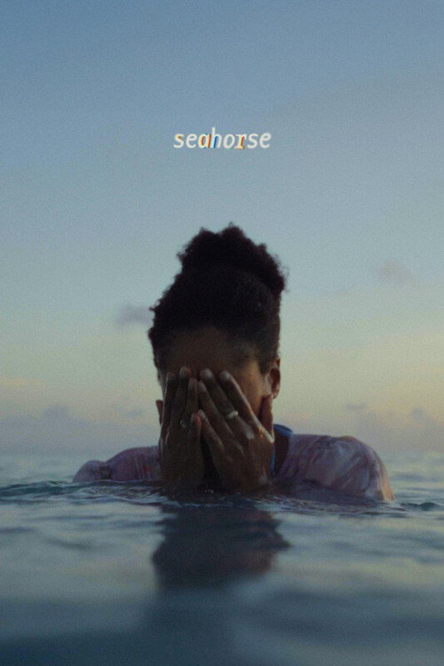 Movie poster for Seahorse (2026)