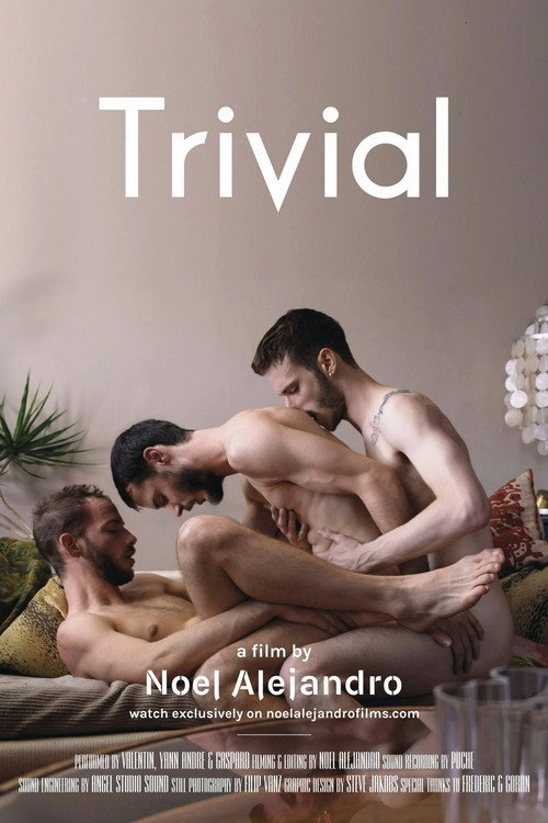 Movie poster for Trivial (2017)