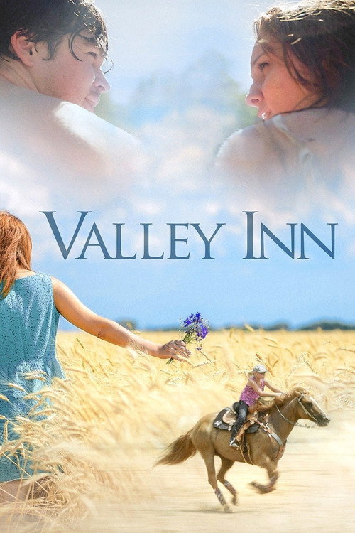 Movie poster for Valley Inn (2014)