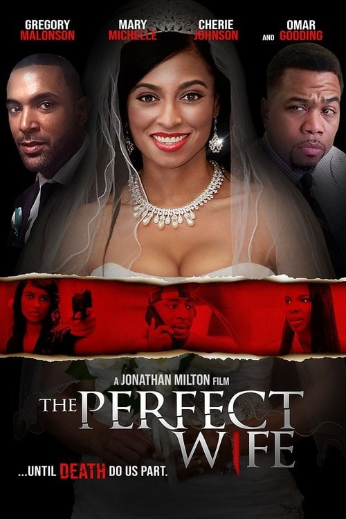 Movie poster for The Perfect Wife (2017)