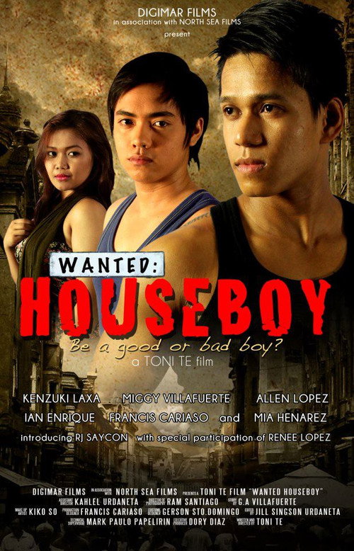 Movie poster for Wanted: Houseboy (2013)