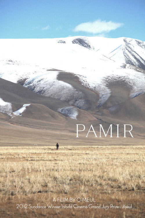 Movie poster for Pamir (2017)