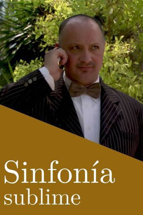 Movie poster for Sinfonía sublime (2014)