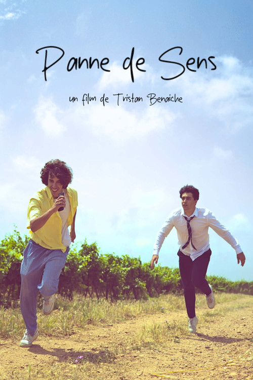 Movie poster for Panne De Sens (2025)