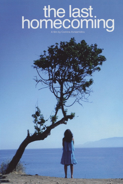 Movie poster for The Last Homecoming (2008)