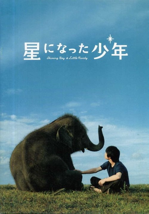 Movie poster for Shining Boy and Little Randy (2005)