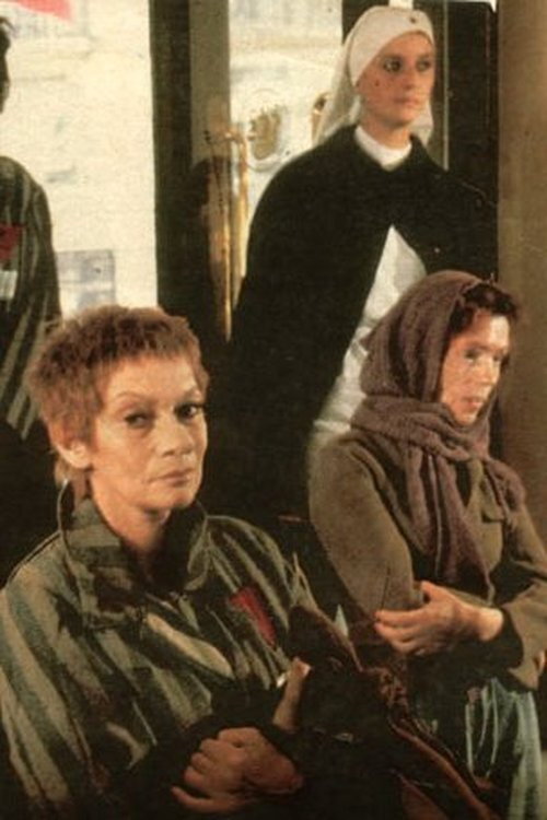 Movie poster for Le Retour d'Elisabeth Wolff (1982)