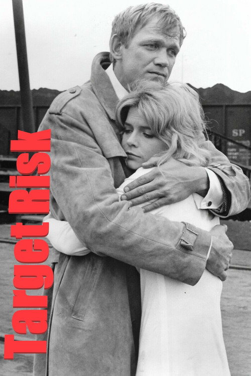 Movie poster for Target Risk (1975)