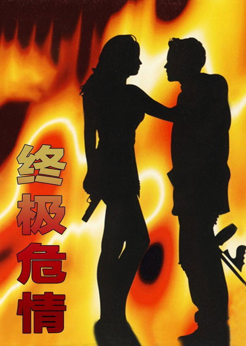 Movie poster for Final Target (1994)