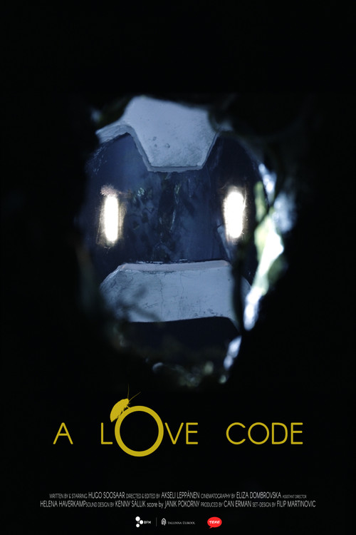 Movie poster for A Love Code