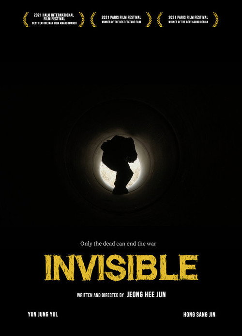 Movie poster for Invisible (2024)