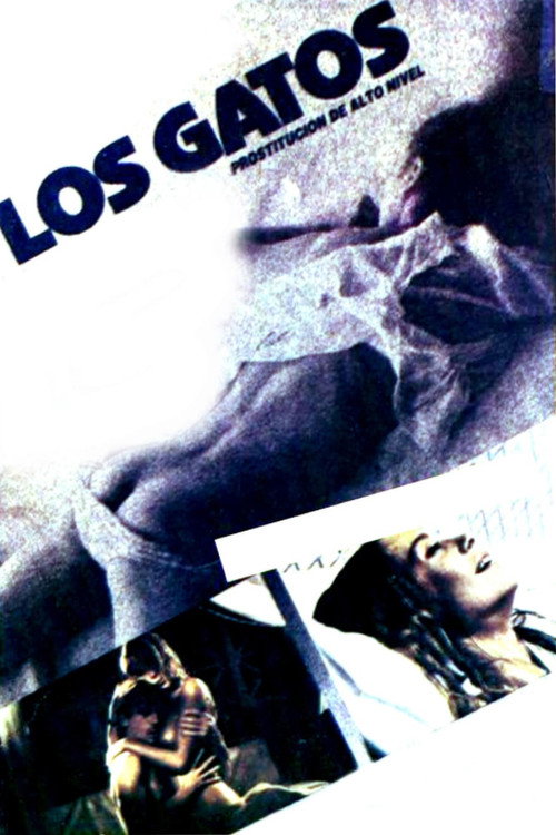 Movie poster for High Class Affair (1985)