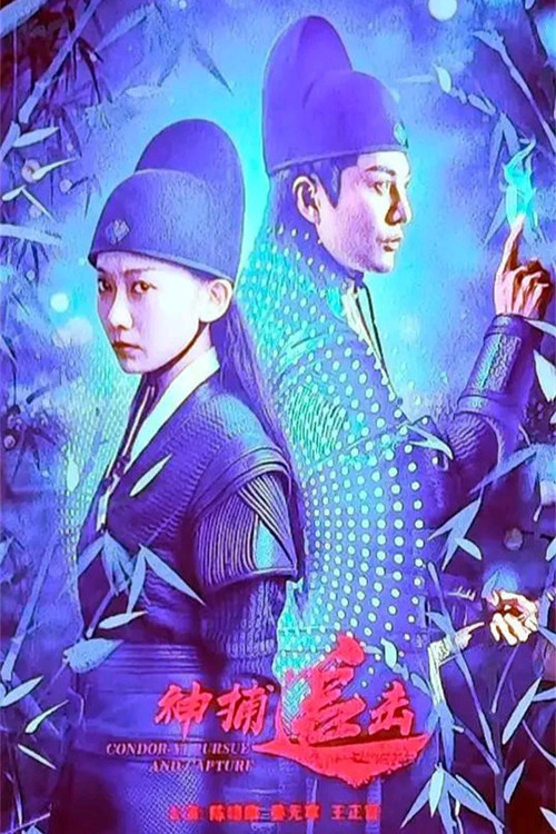 Movie poster for 神捕追击 (2025)