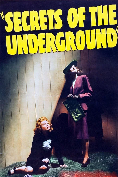 Movie poster for Secrets of the Underground (1942)