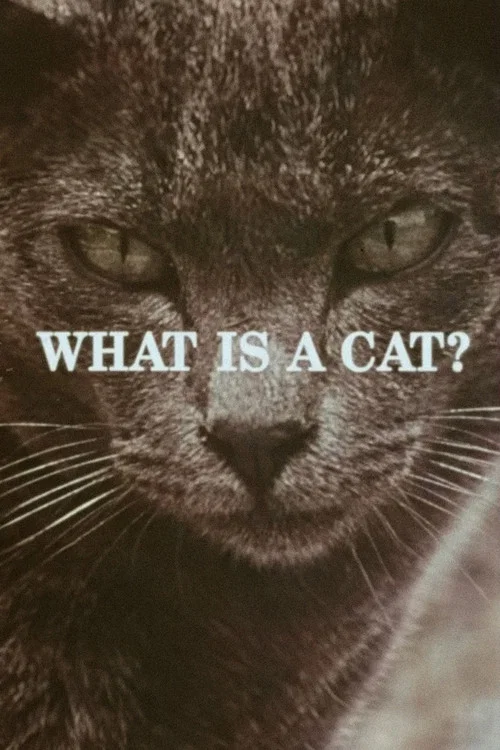 Movie poster for What Is a Cat? (1972)