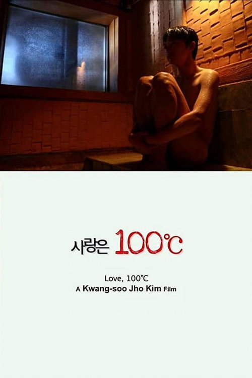 Movie poster for Love, 100°C (2010)